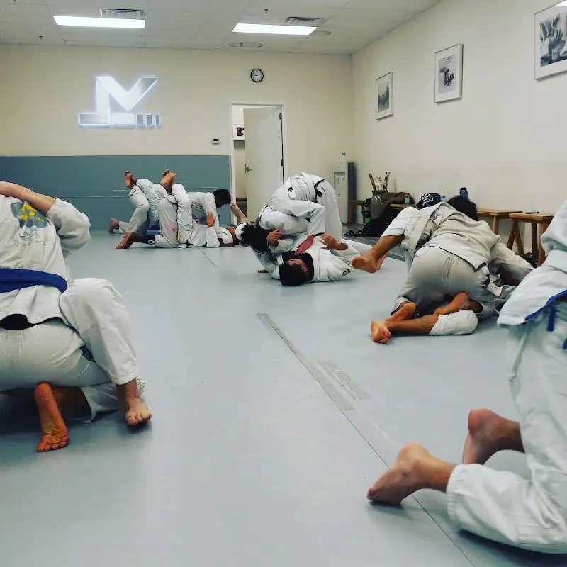 Level Up Brazilian Jiu Jitsu Cypress BJJ Academy - photo 1