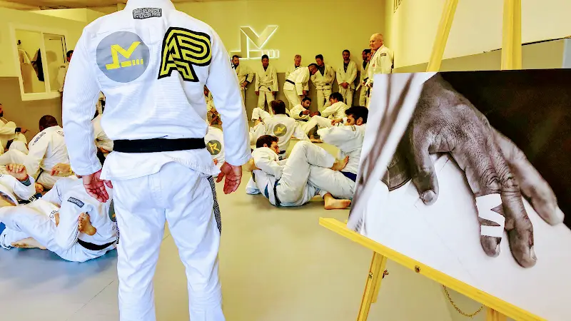 Level Up Brazilian Jiu Jitsu Woodland Hills