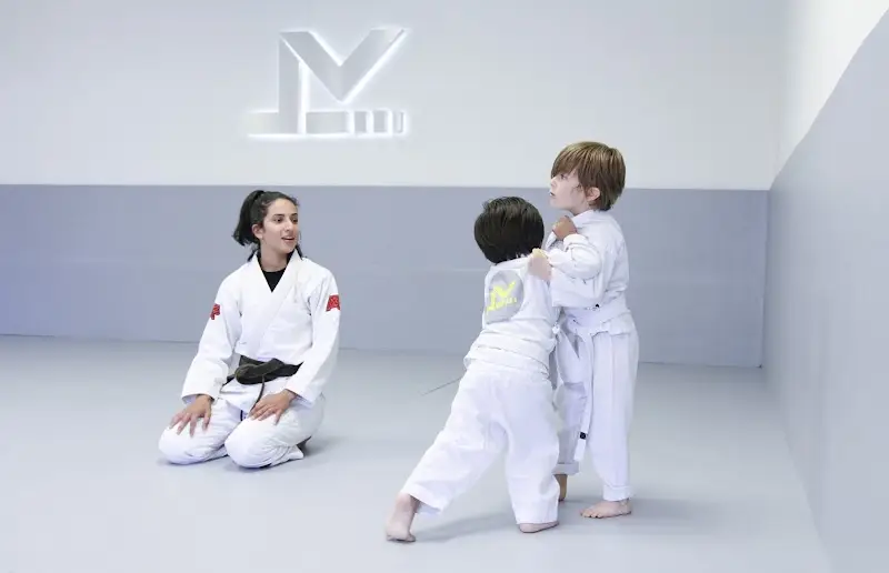 Level Up Brazilian Jiu Jitsu Woodland Hills BJJ Academy - photo 2