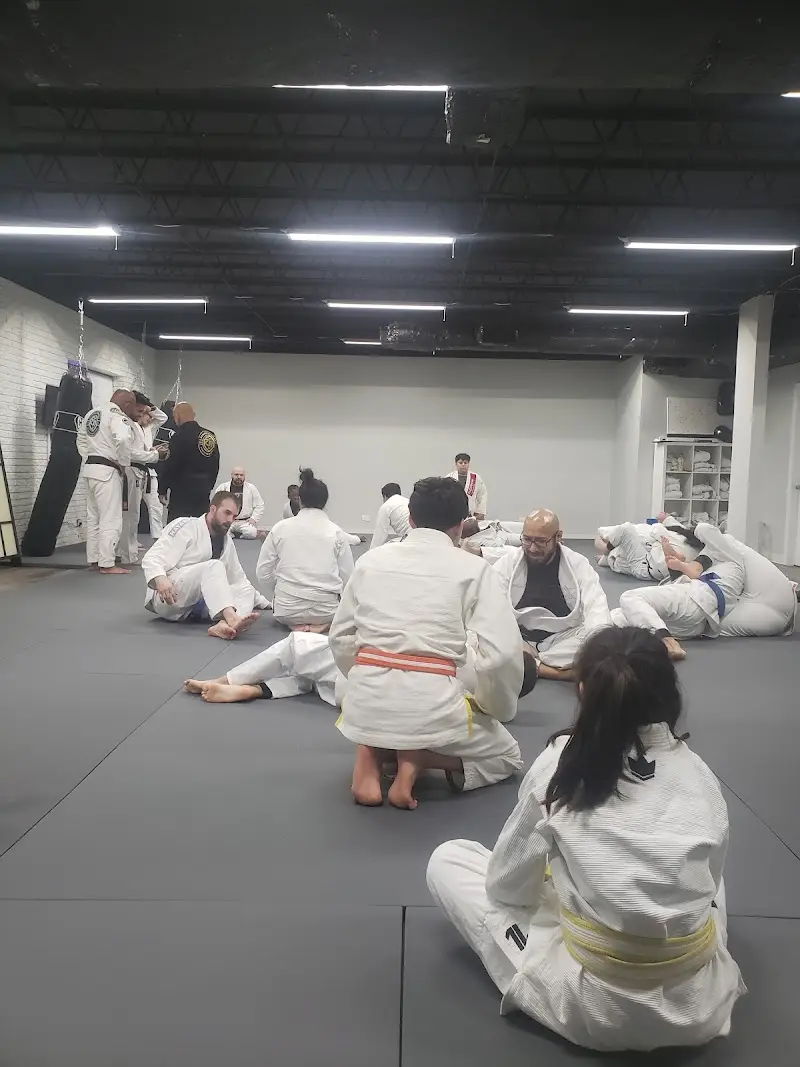 Leverage Jiu-Jitsu BJJ Academy - photo 1