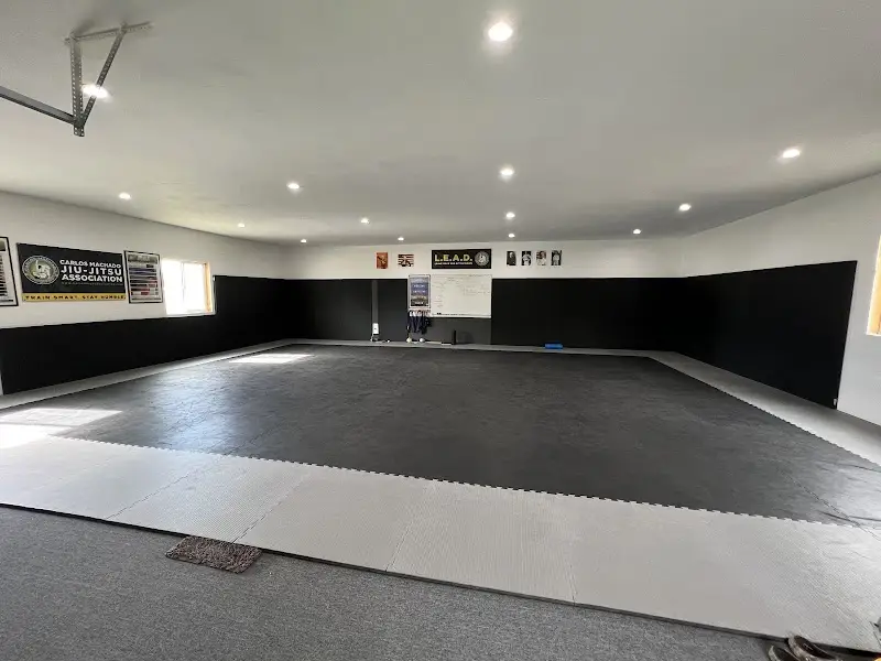 Lewis Martial Arts BJJ Academy - photo 2