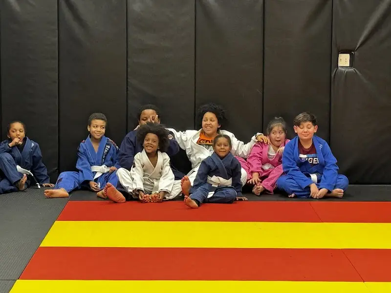 Light Work Jiu Jitsu BJJ Academy - photo 1