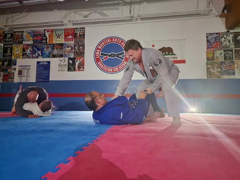 Lima Taekwondo & Brazilian Jiu Jitsu Academy BJJ Academy - photo 1