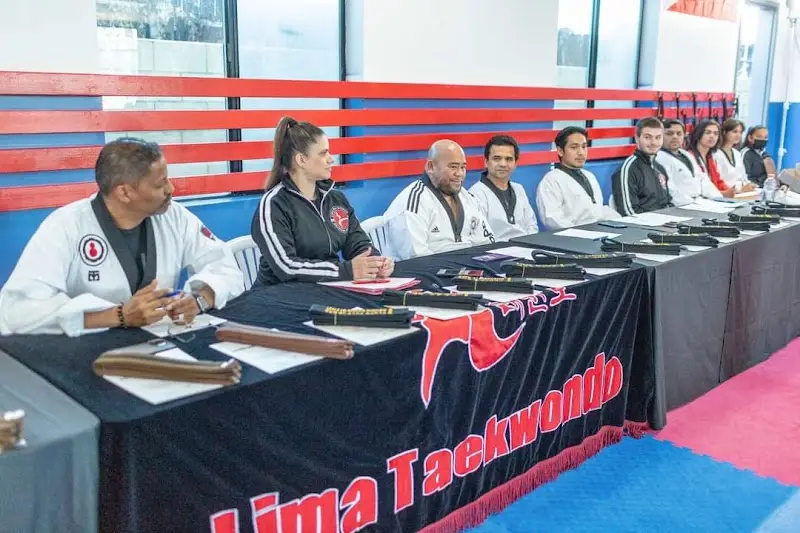 Lima Taekwondo & Brazilian Jiu Jitsu Academy BJJ Academy - photo 1