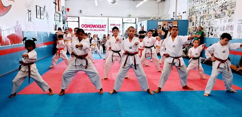 Lima Taekwondo & Brazilian Jiu Jitsu Academy BJJ Academy - photo 2