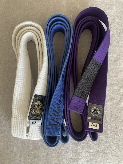 Limerick Brazilian Jiu Jitsu Academy | Martial Arts Limerick BJJ Academy - photo 2