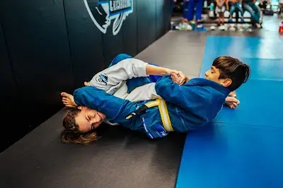 Limitless Brazilian Jiujitsu + Kickboxing BJJ Academy - photo 3