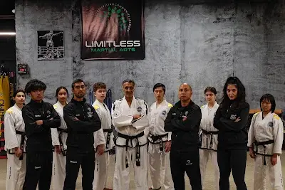Limitless Martial Arts | Taekwondo & Kickboxing Training