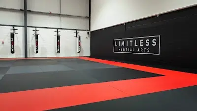 Limitless Martial Arts