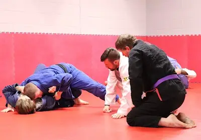 Linic Martial Arts BJJ Academy - photo 3