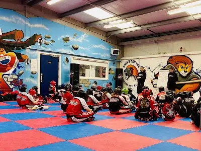 Lion's Den TCK Modern Martial Arts BJJ Academy - photo 1