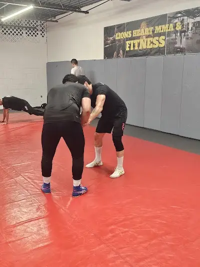 Lions Heart MMA BJJ Academy - photo 3