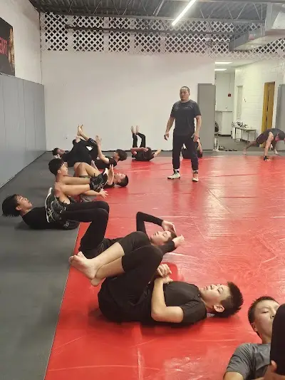 Lions Heart MMA BJJ Academy - photo 4