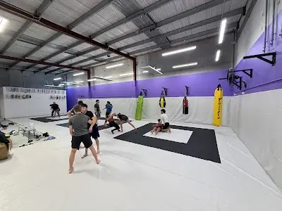 Little Power MMA BJJ Academy - photo 1