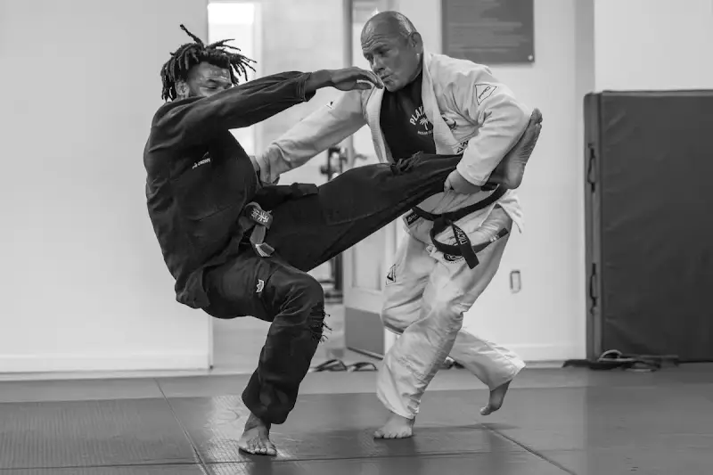 Live Oak Jiu Jitsu Academy BJJ Academy - photo 1