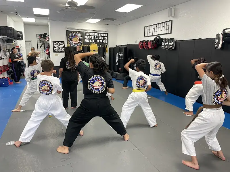 Livermore Martial Arts Academy, LLC BJJ Academy - photo 1