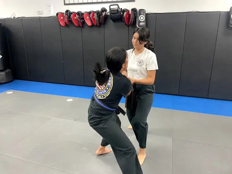 Livermore Martial Arts Academy, LLC BJJ Academy - photo 2