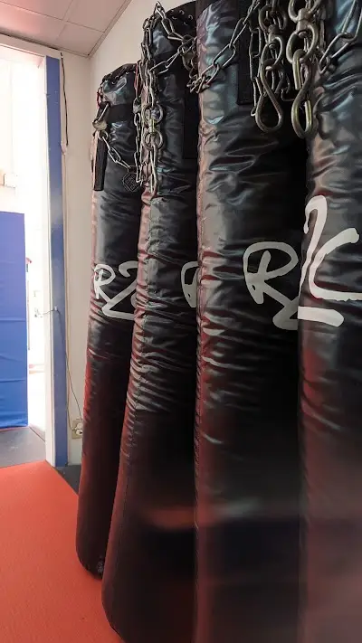 Livingston Jiu-Jitsu BJJ Academy - photo 4