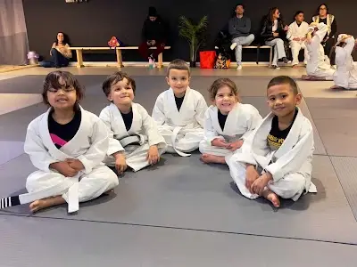 LJ BRAZILIAN JIU JITSU