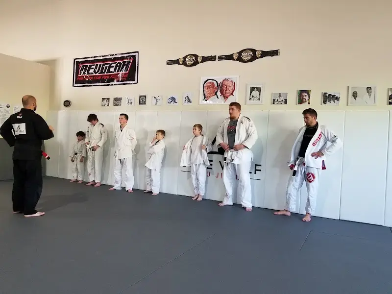 Lone Wolf Jiu Jitsu Academy BJJ Academy - photo 2