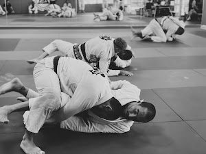 Inside Los Angeles Jiu Jitsu Academy academy