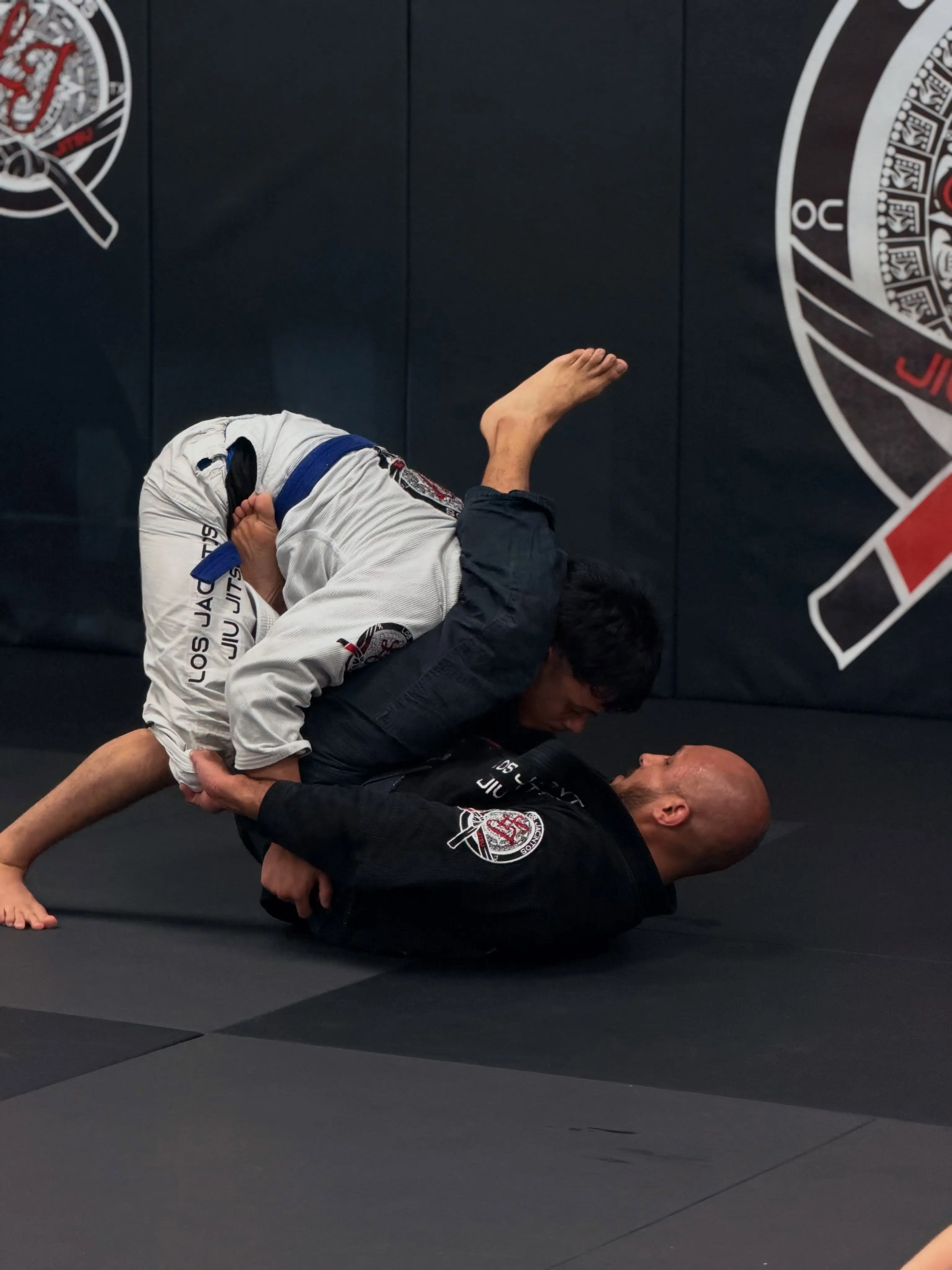 Los Jacintos Jiu Jitsu Academy BJJ Academy - photo 2