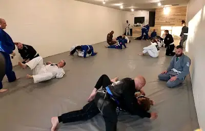 Lotus Academy Brazilian Jiu Jitsu BJJ Academy - photo 1