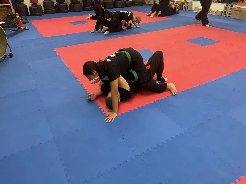 Low’s Martial Arts Academy BJJ Academy - photo 1