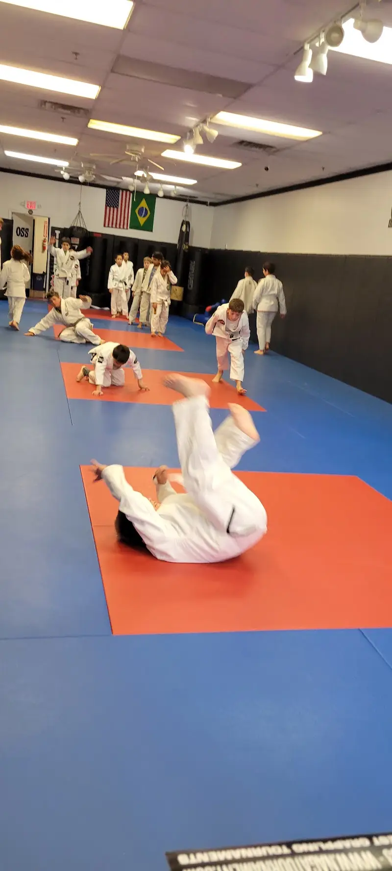 Loyalty BJJ