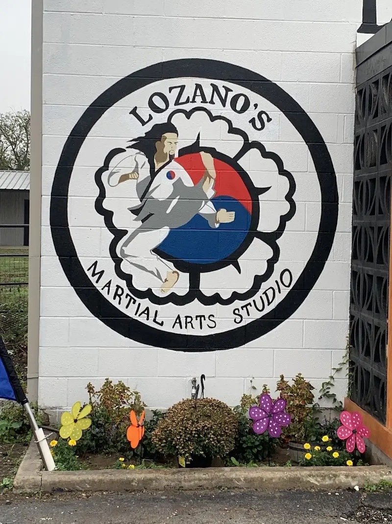 Lozano's Martial Arts Studio BJJ Academy - photo 2