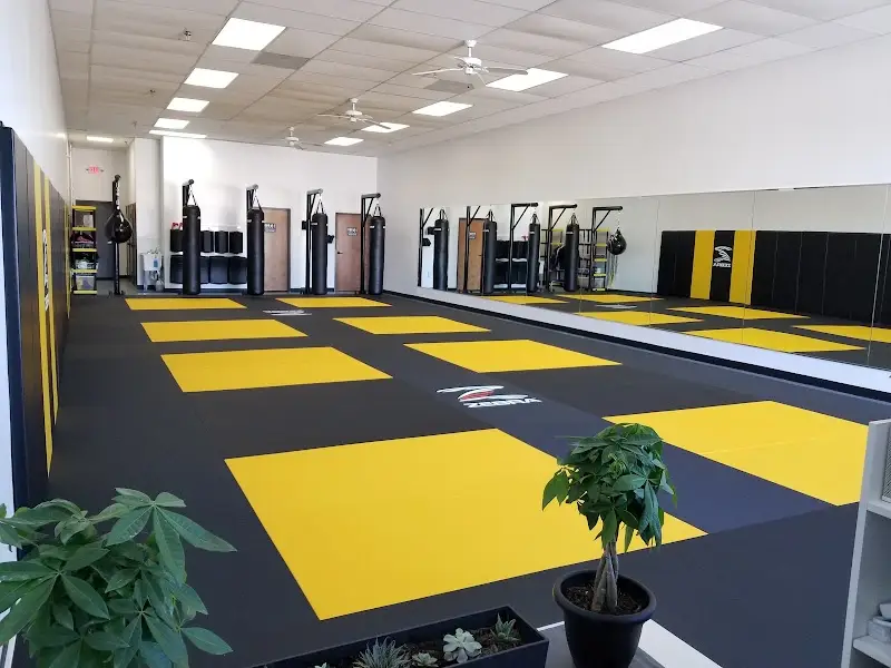 LP Martial Arts BJJ Academy - photo 2