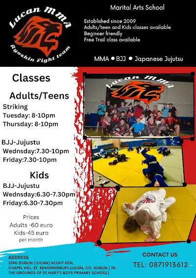 Lucan MMA (Ryoshin Academy) BJJ Academy - photo 3
