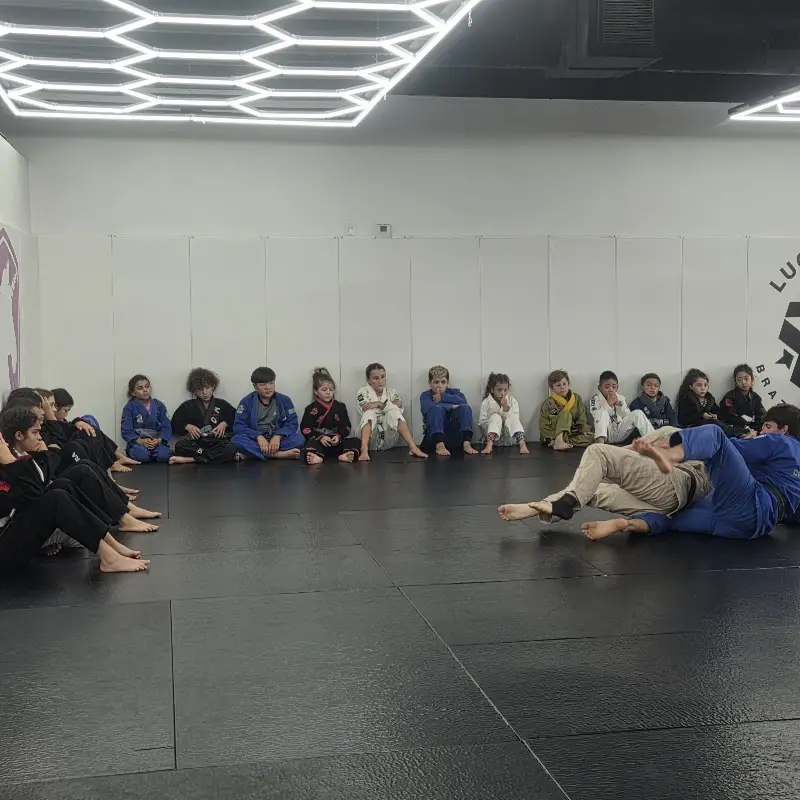 Lucas Leite Brazilian Jiu-Jitsu BJJ Academy - photo 2