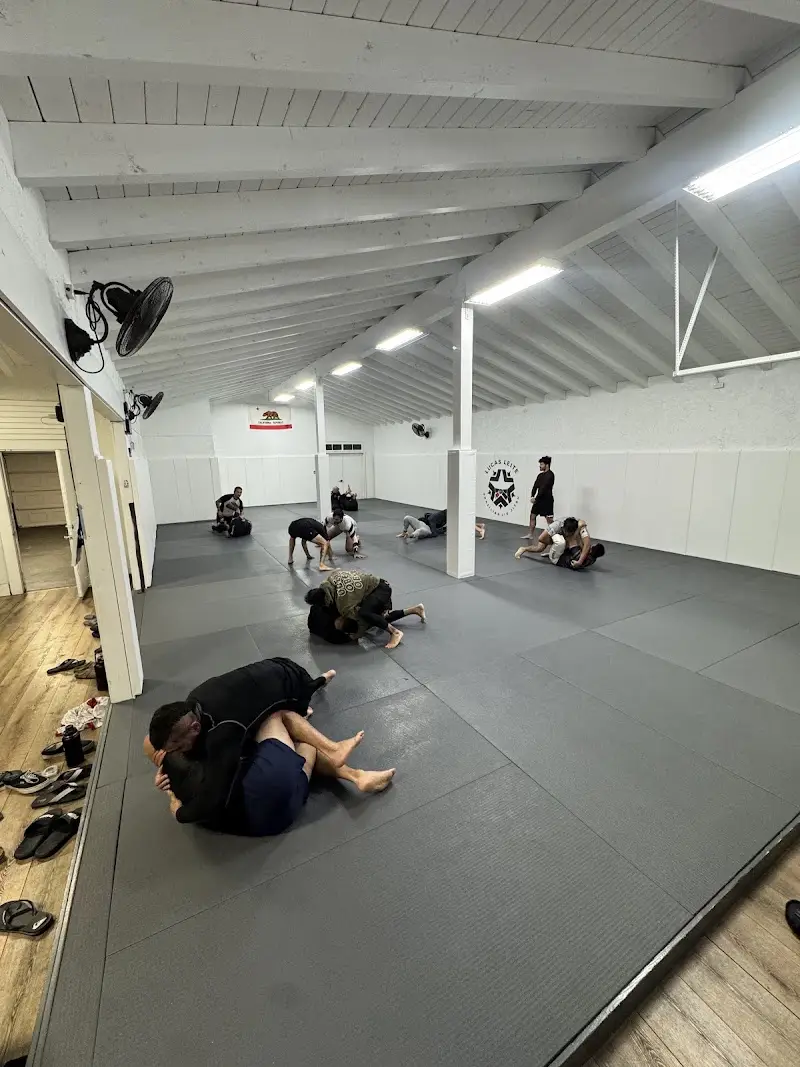 Lucas Leite Brazilian Jiu-Jitsu