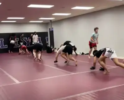 Ludus Combat Sports BJJ Academy - photo 1