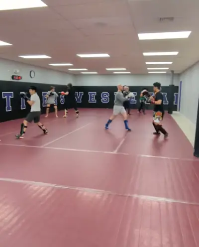 Ludus Combat Sports BJJ Academy - photo 2