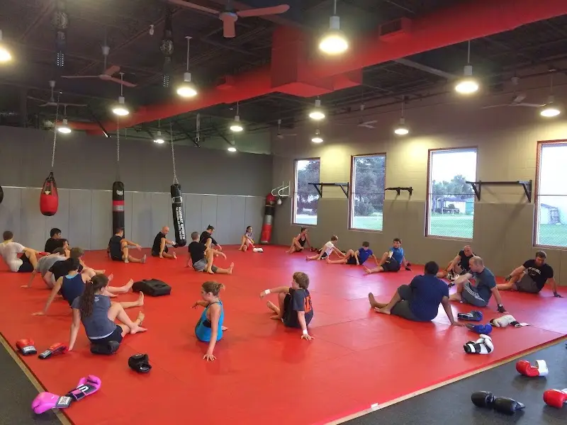 Ludus Martial Arts LLC BJJ Academy - photo 1