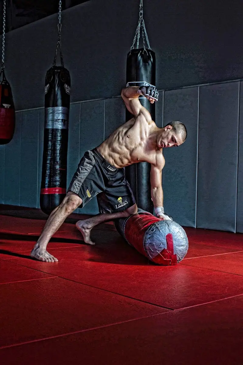 Ludus Martial Arts LLC BJJ Academy - photo 2