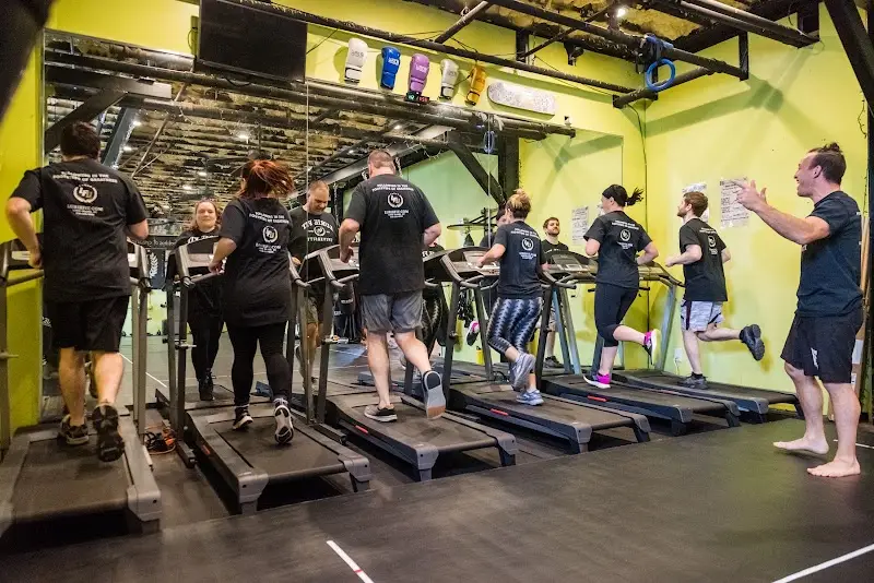 Lurie Fit University BJJ Academy - photo 1