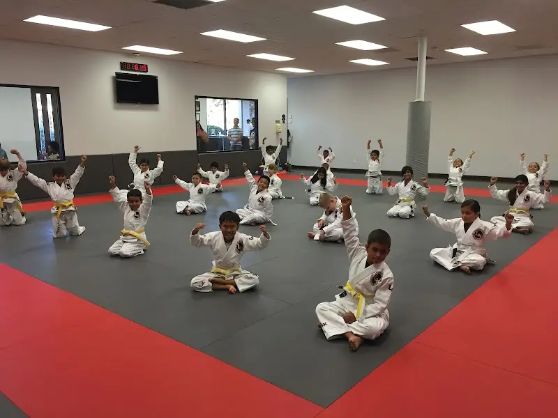 LX Jiu-Jitsu & Self Defense BJJ Academy - photo 2