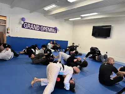 Lycan Jiu Jitsu and Self Defense BJJ Academy - photo 3