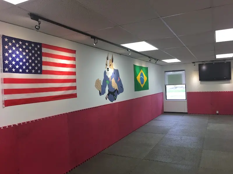 Mad Dog Elite BJJ Academy - photo 1