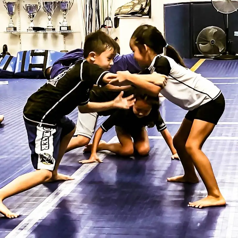 Mad Tiger Academy BJJ Academy - photo 1