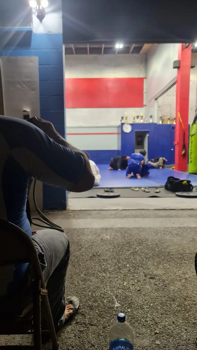 Mad Tiger Academy BJJ Academy - photo 2