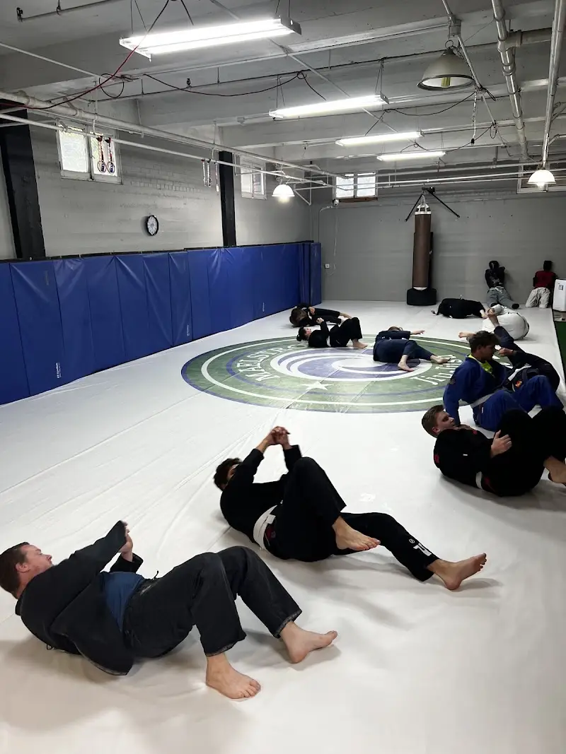 Maelstrom South BJJ BJJ Academy - photo 2