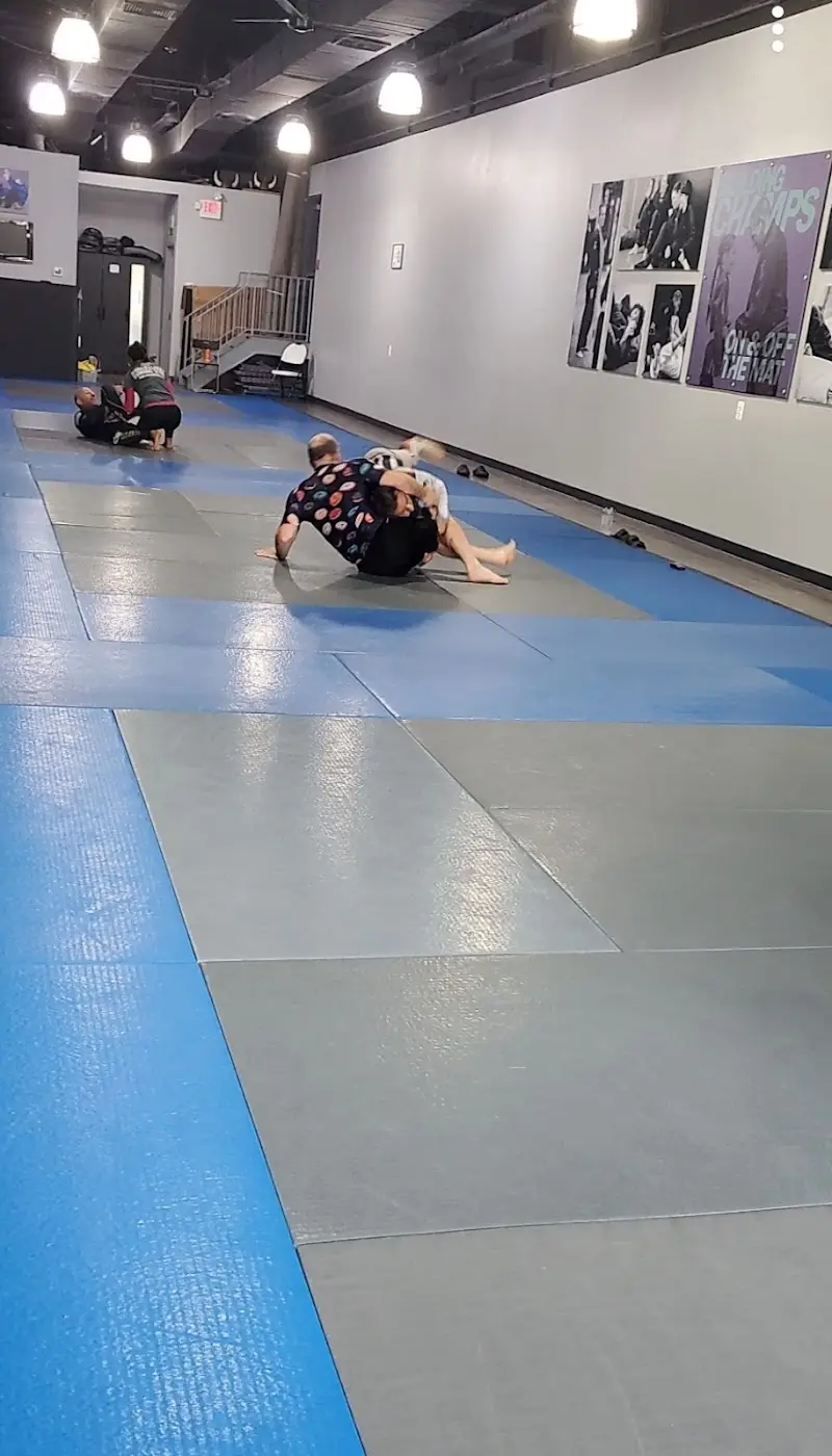 Main Line United Brazilian Jiu-Jitsu BJJ Academy - photo 1