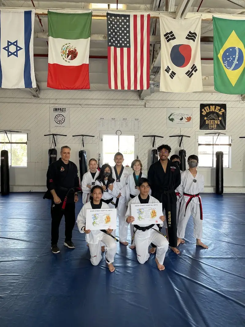 Main Street Martial Arts BJJ Academy - photo 2