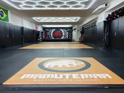 Mamute Martial Arts Academy BJJ Academy - photo 1