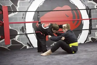 Mamute Martial Arts Academy BJJ Academy - photo 4