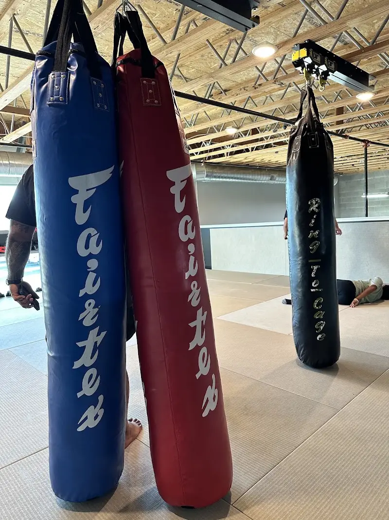 Mana Grappling Academy BJJ Academy - photo 2